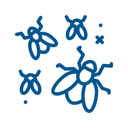 pictogram
