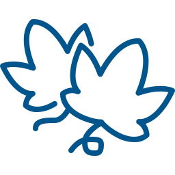 pictogram